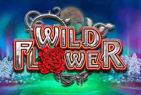 Wild Flower